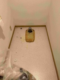 コンパクトなタンクなのに水ハネしにくい手洗いボウル 世田谷区Y様邸 コンパクトなタンクなのに水ハネしにくい手洗いボウル 世田谷区Y様邸